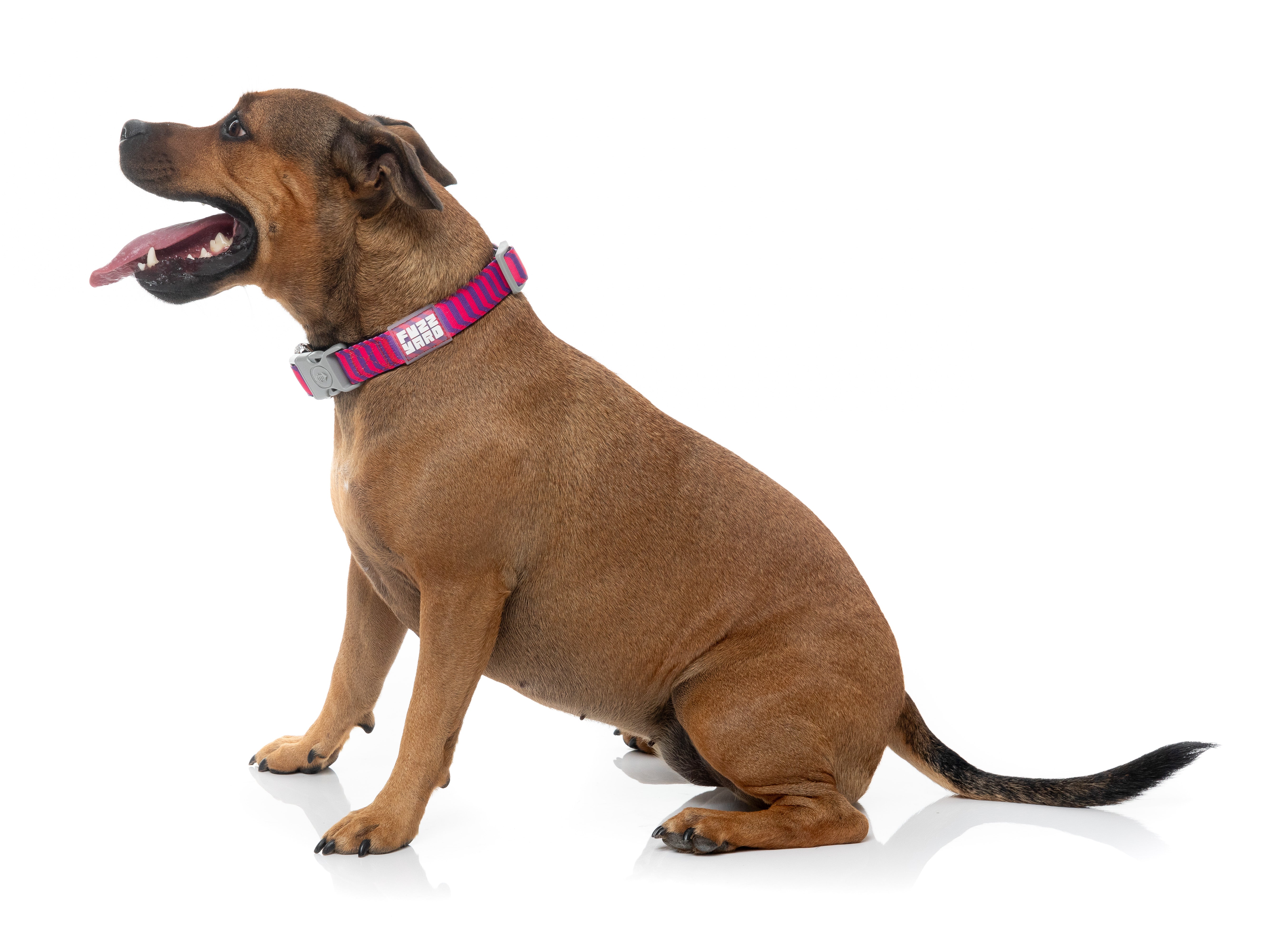 Vaporwave - Berry - Dog Collar