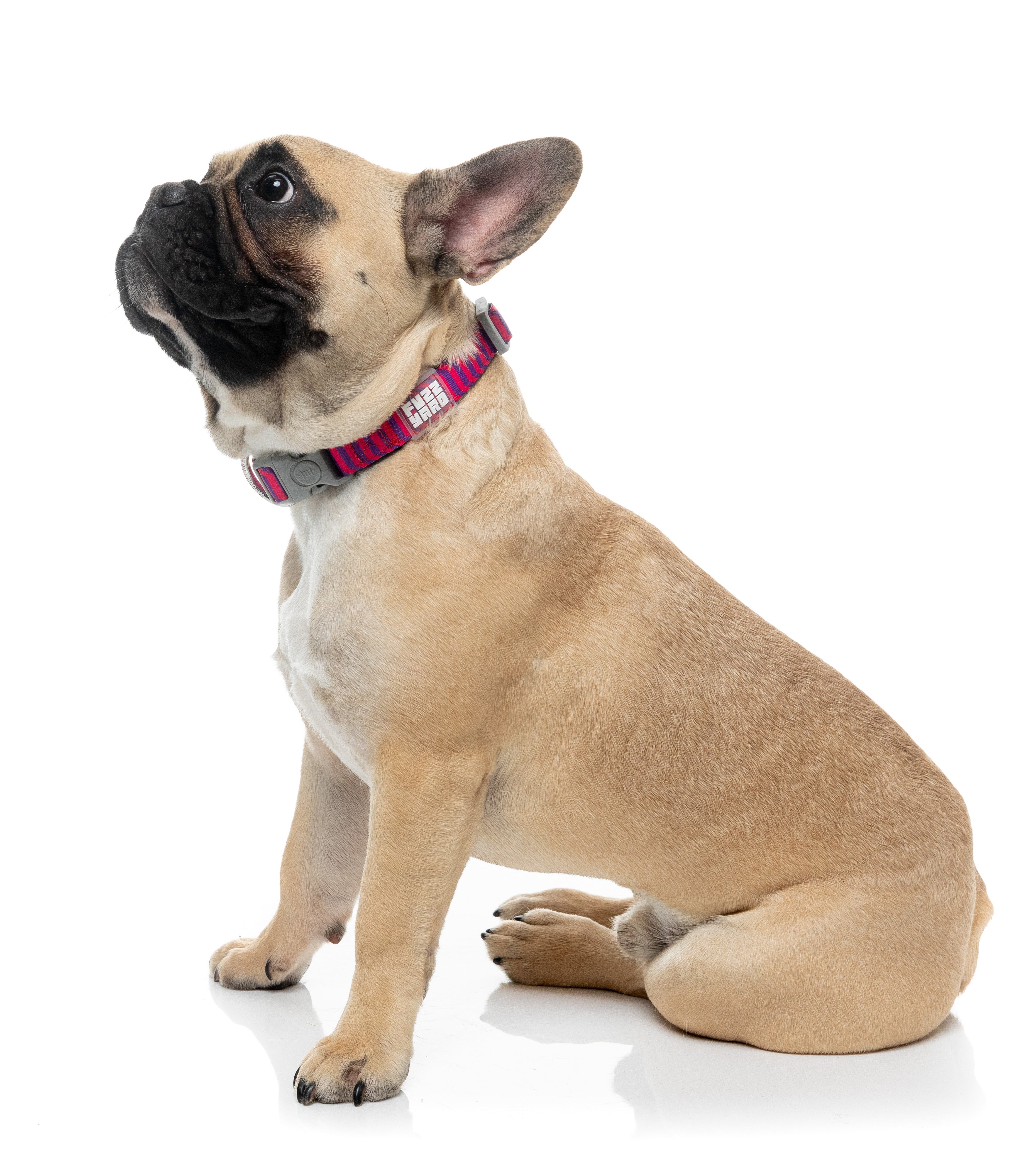 Vaporwave - Berry - Dog Collar