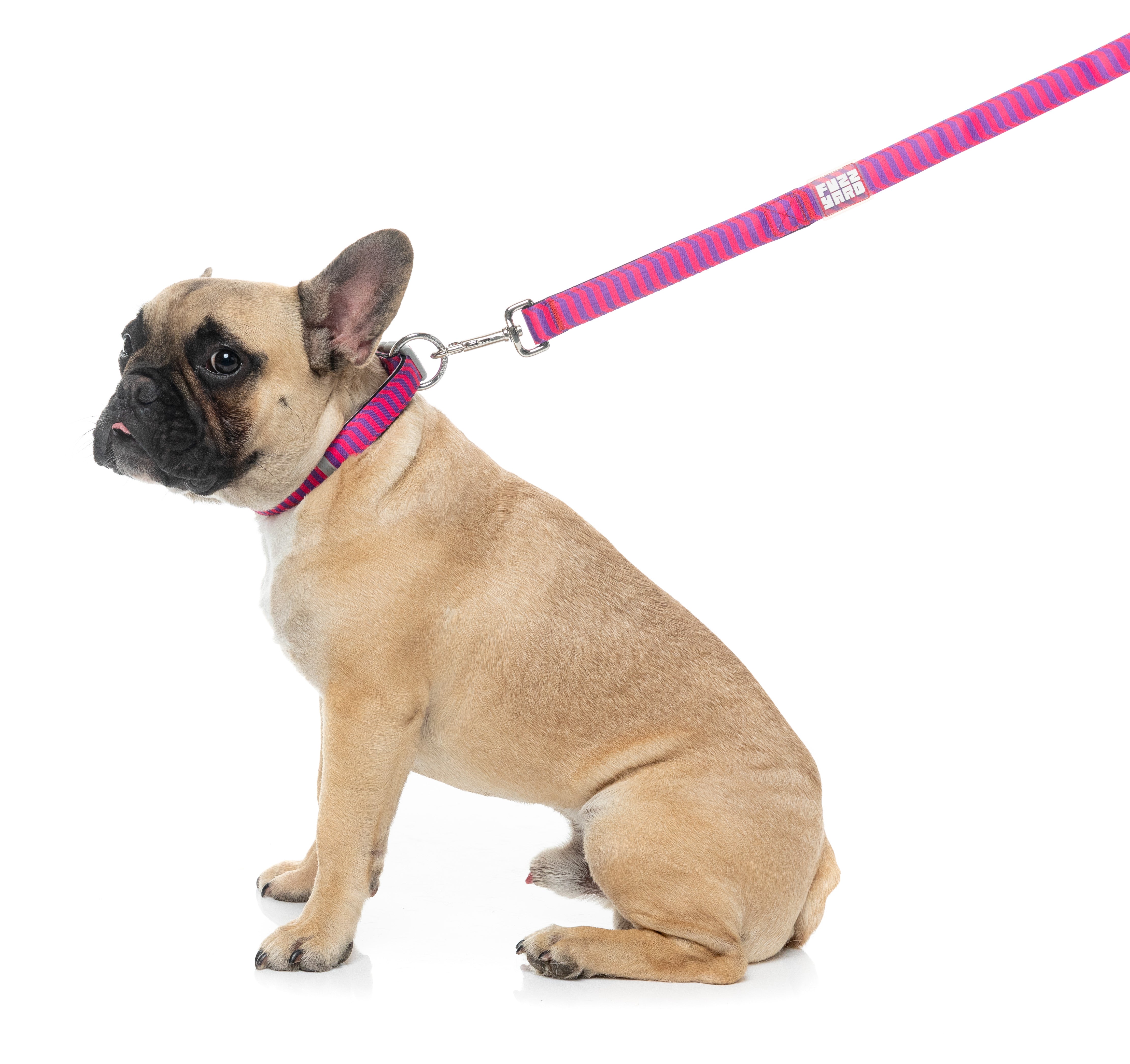 Vaporwave - Berry - Dog Lead