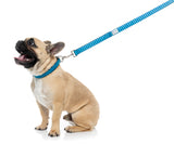 Vaporwave - Oasis - Dog Lead