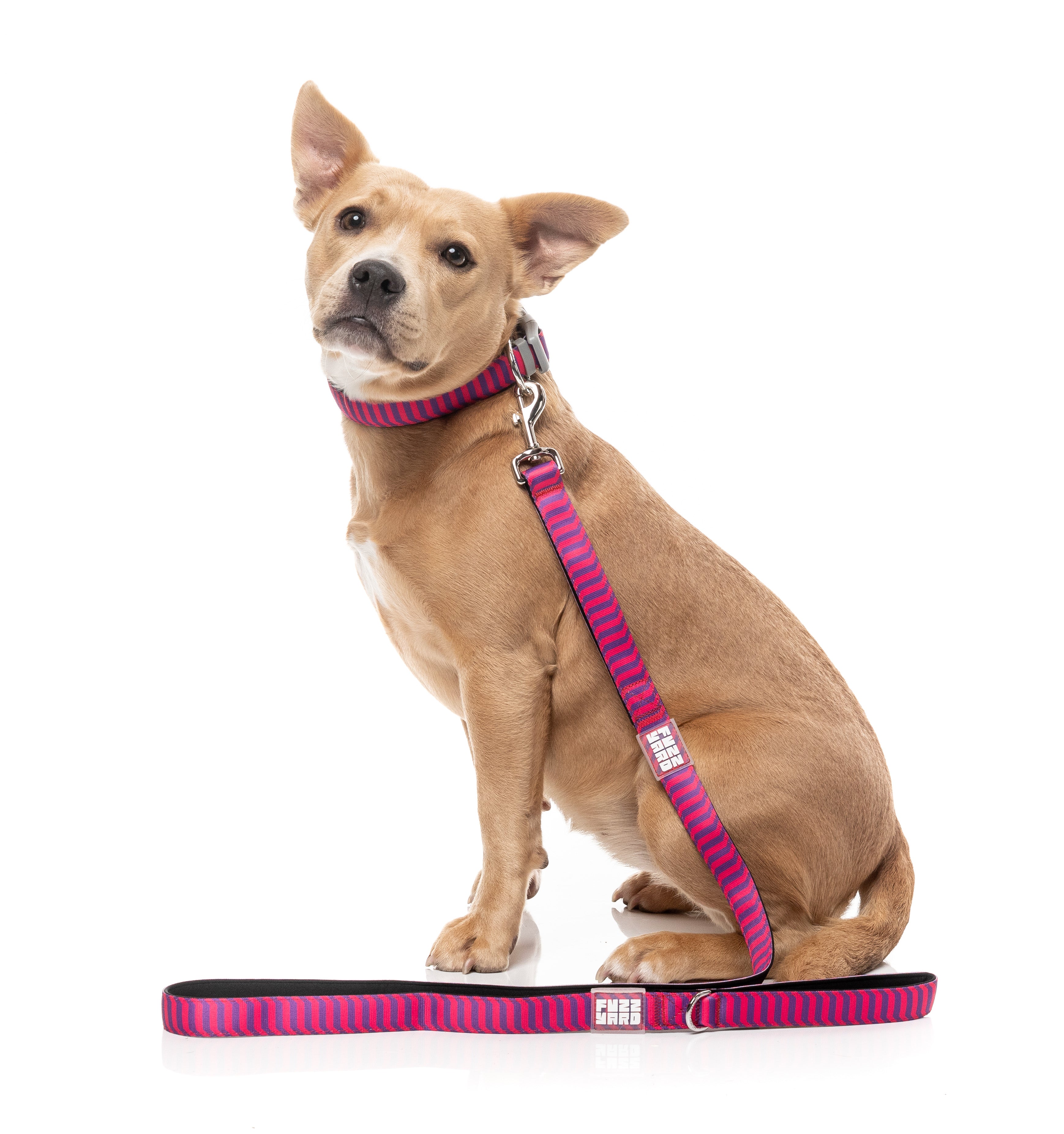 Vaporwave - Berry - Dog Lead
