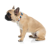 Checkmate - Marine - Dog Collar