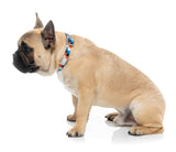 Checkmate - Marine - Dog Collar