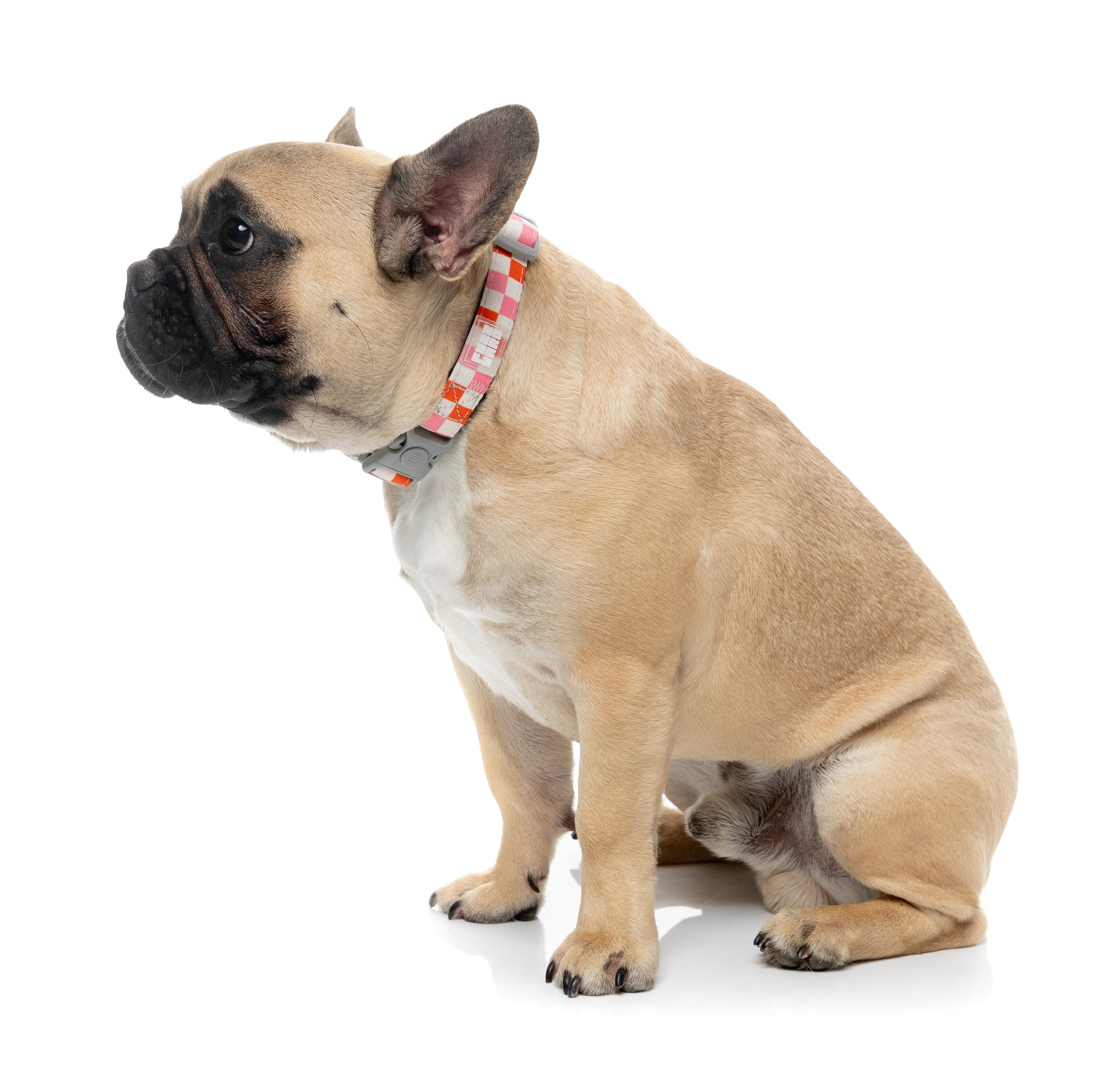 Checkmate - Sherbet - Dog Collar