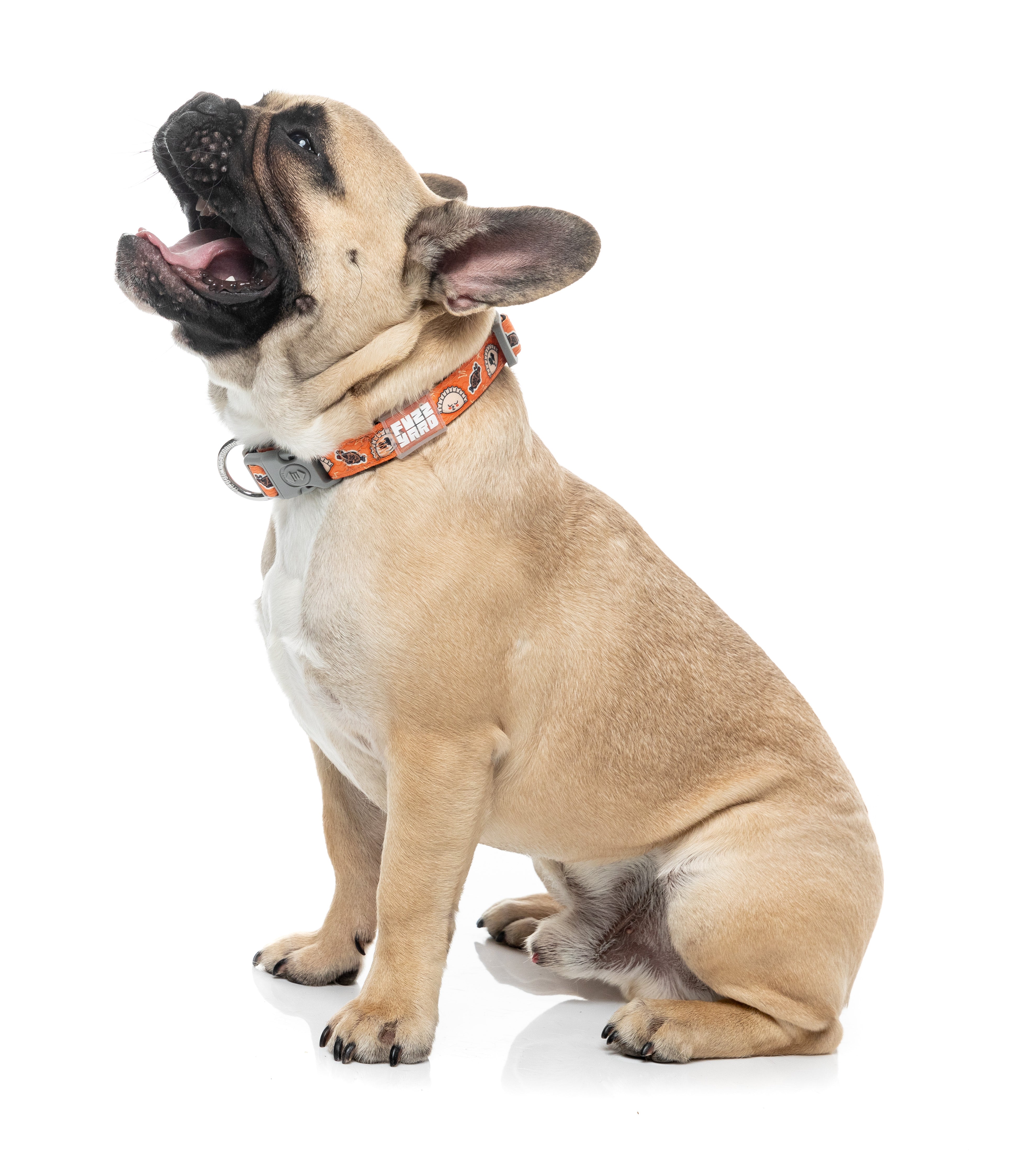 Bao Wow - Dog Collar