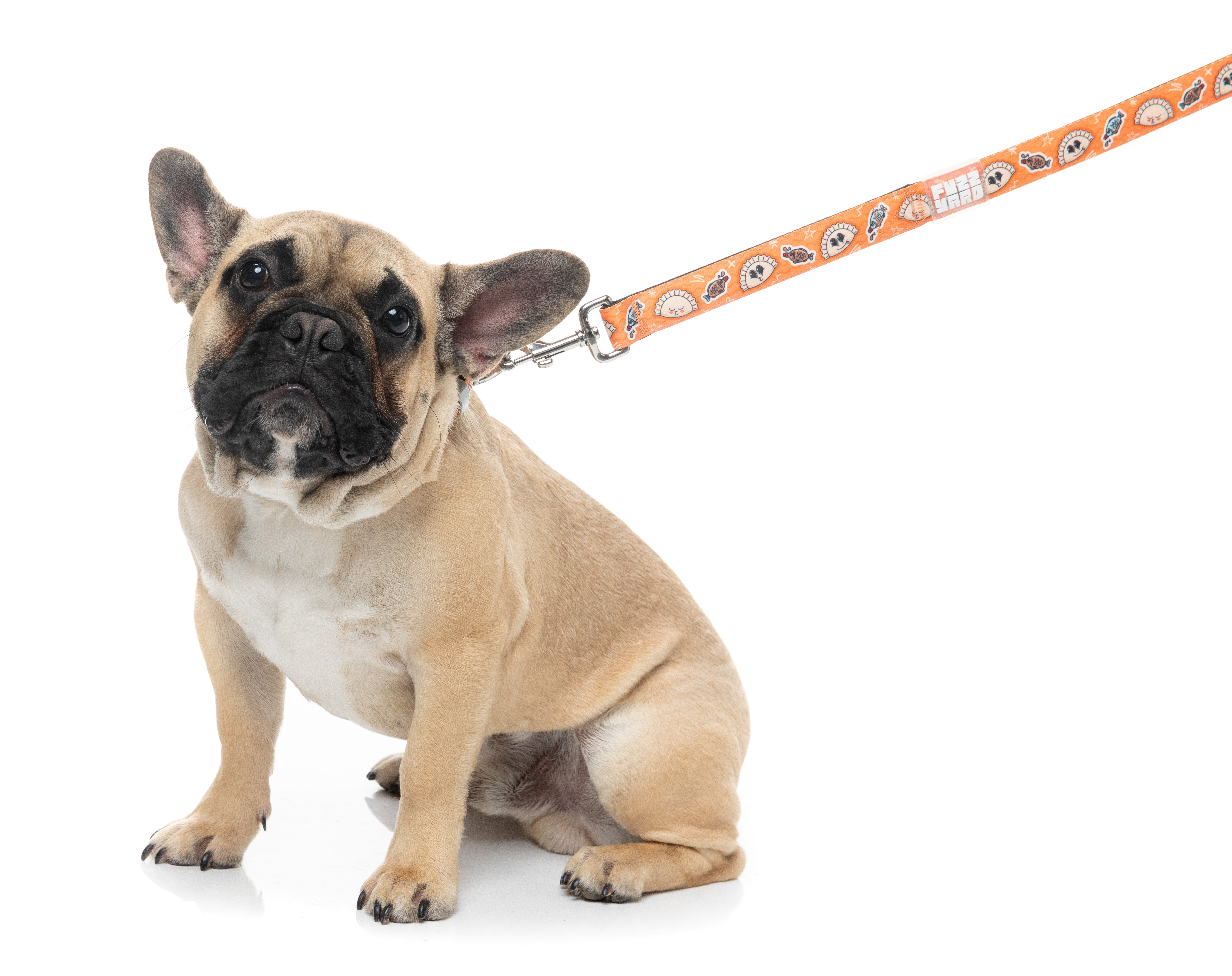Bao Wow - Dog Lead