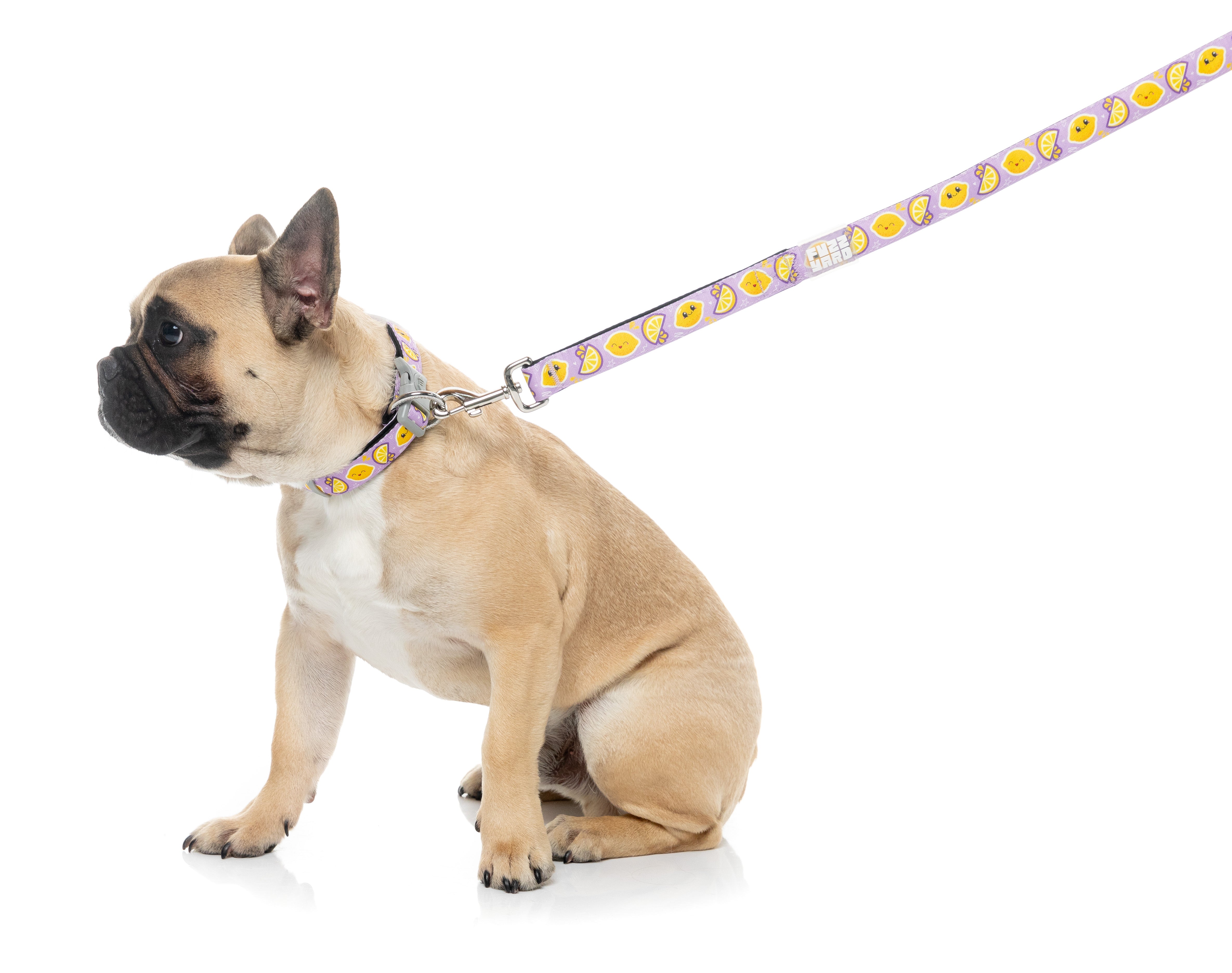 Bao Wow - Dog Lead