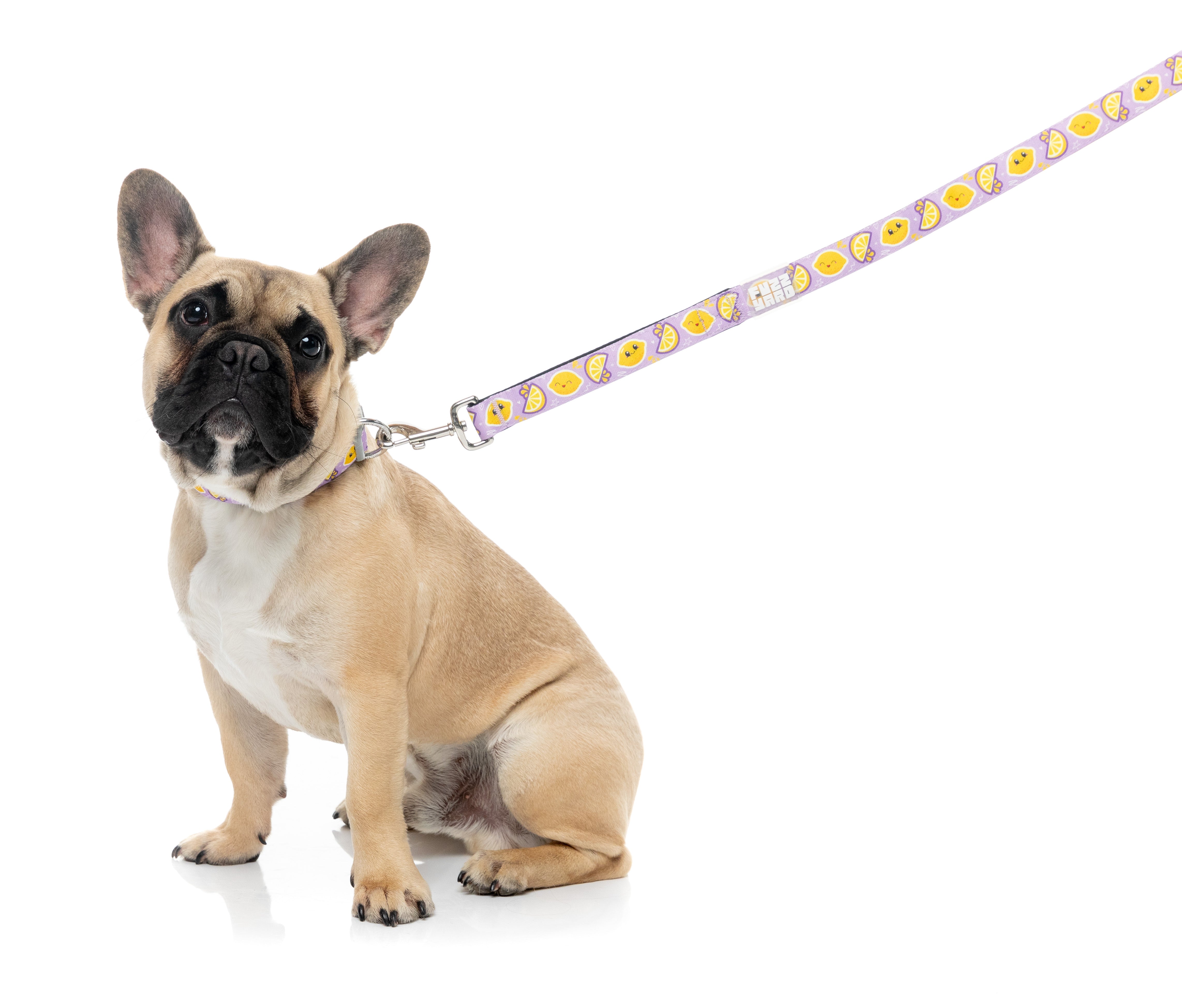 Easy Peasy - Dog Lead