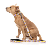 Easy Peasy - Dog Lead