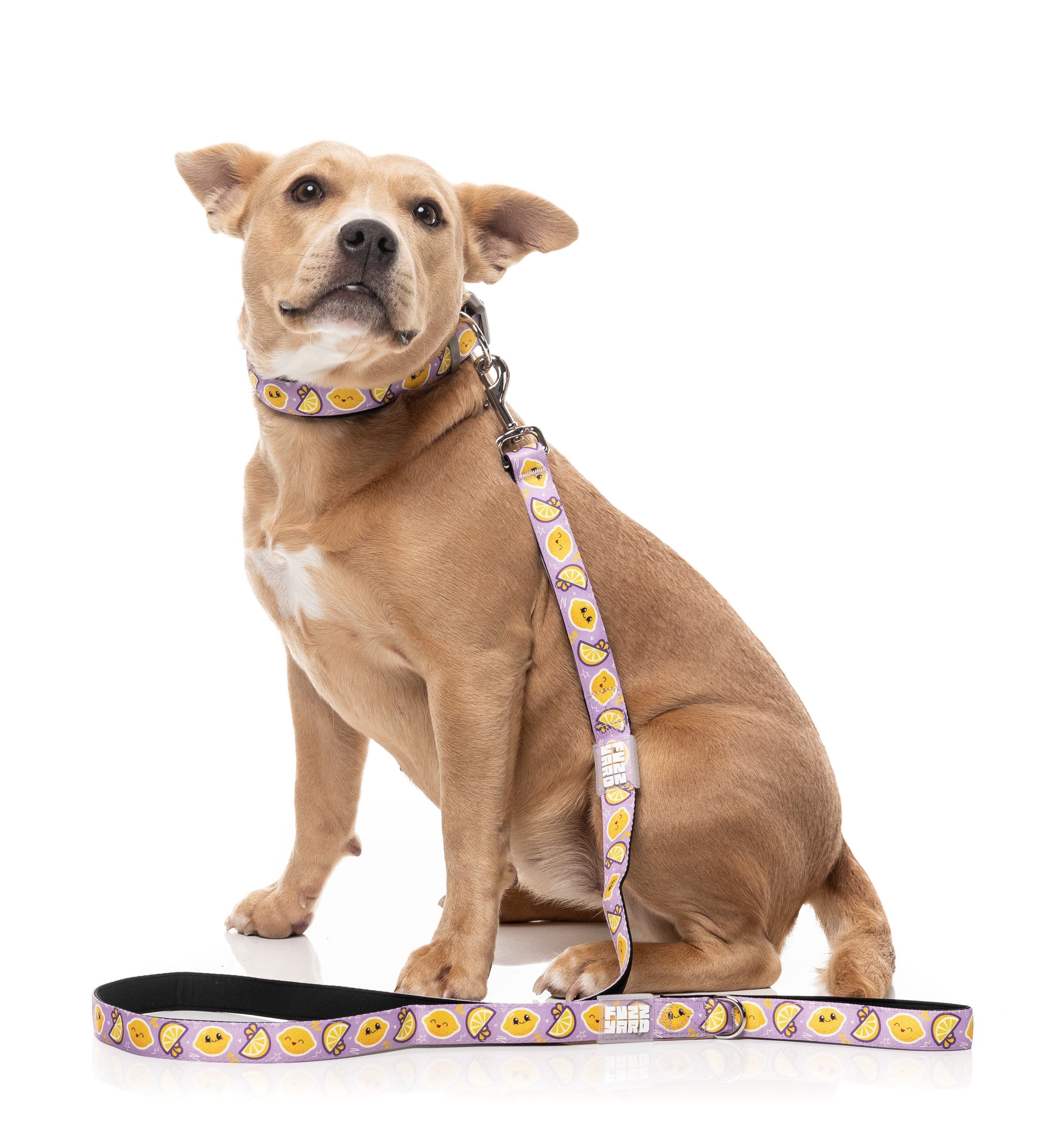 Easy Peasy - Dog Lead