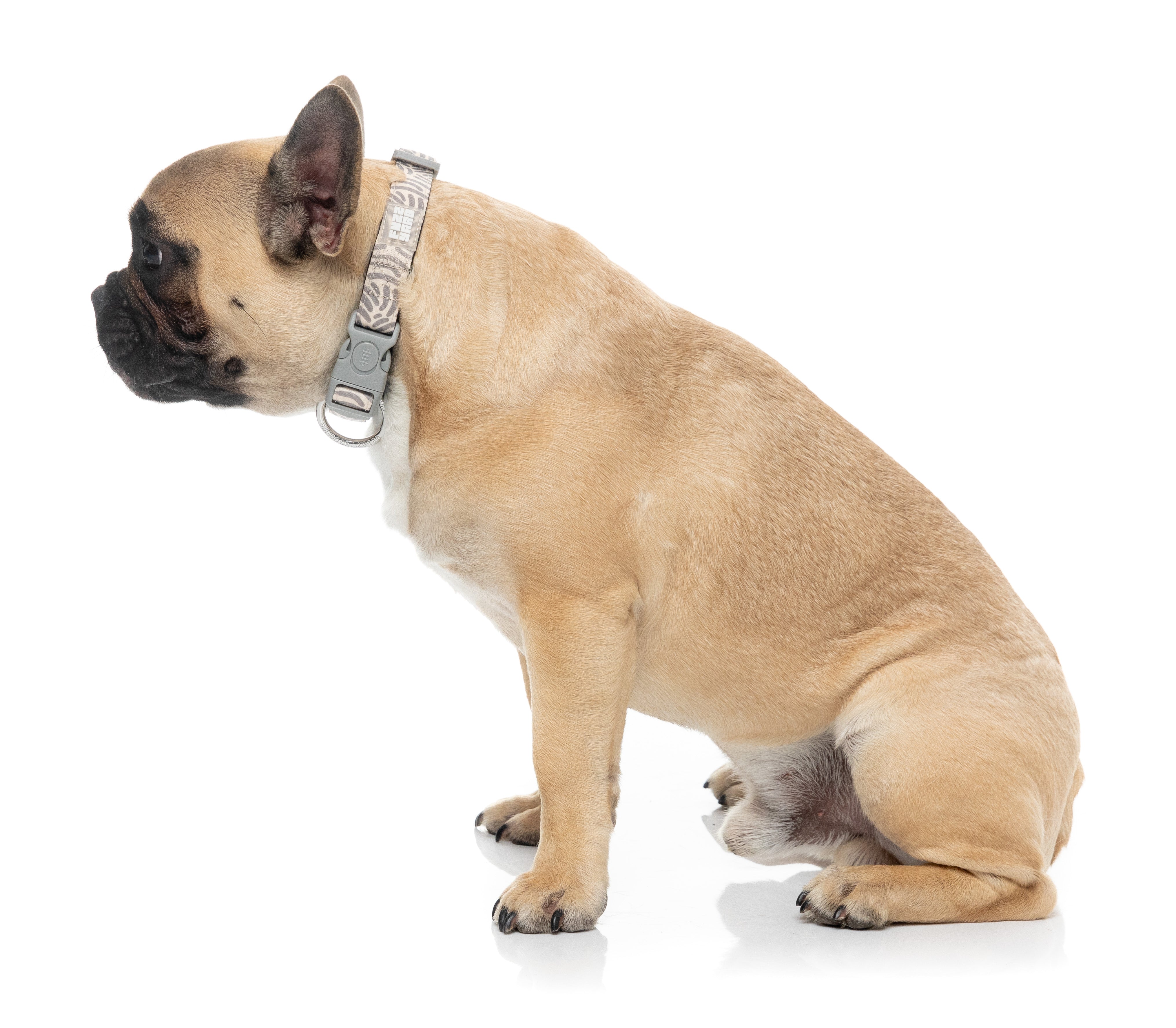 Matera - Dog Collar