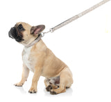 Matera - Dog Lead