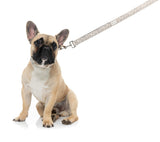 Matera - Dog Lead