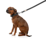 FuzzYard Life Dog Lead - Slate Grey - Extra Small