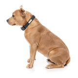 FuzzYard Life Dog Collar - Slate Grey - Extra Small