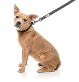 FuzzYard Life Dog Lead - Slate Grey - Extra Small