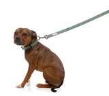 FuzzYard Life Dog Lead - Myrtle Green