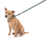 FuzzYard Life Dog Lead - Myrtle Green