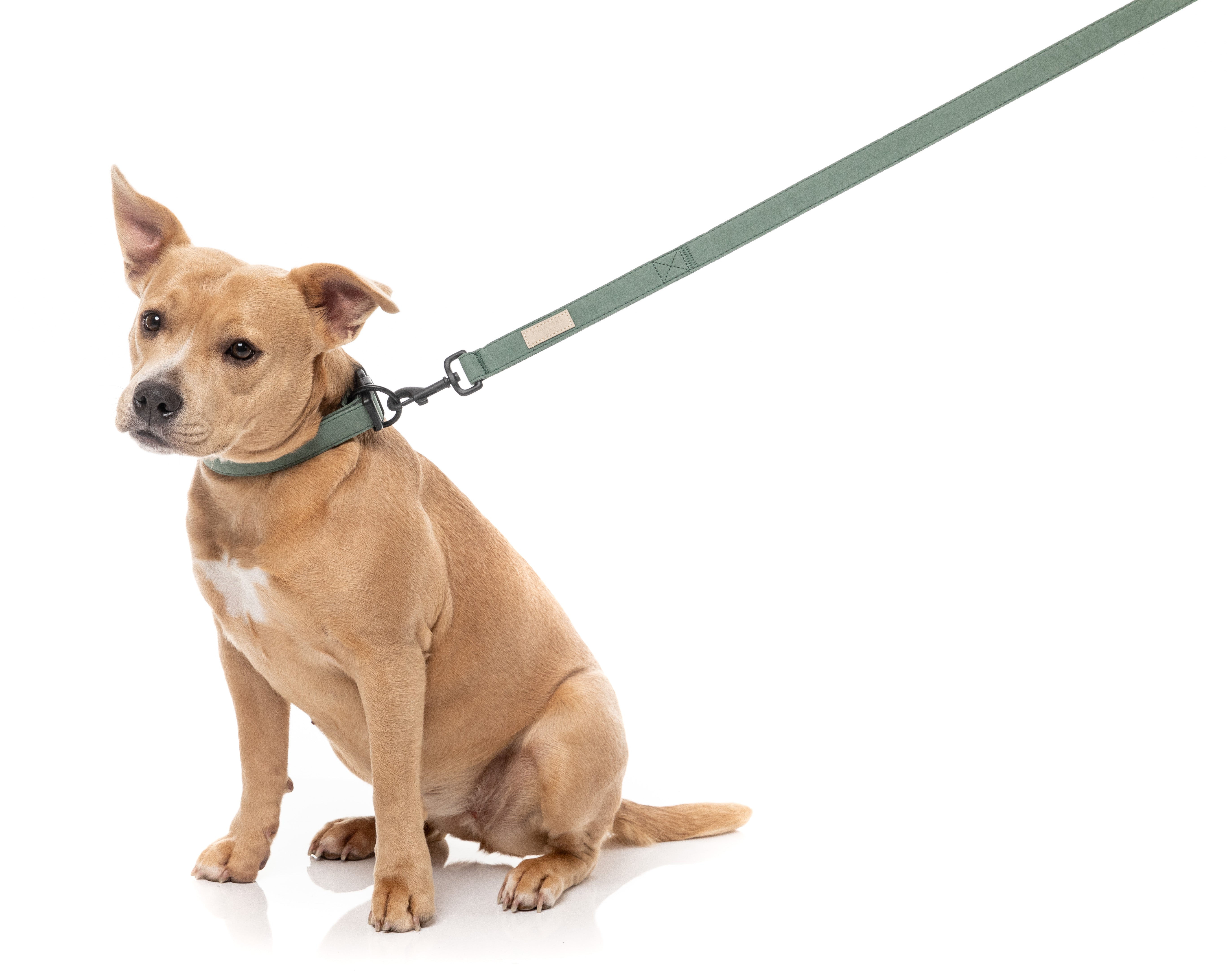 FuzzYard Life Dog Lead - Myrtle Green - Extra Small