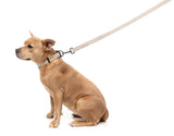 FuzzYard Life Dog Lead - Sandstone - Extra Small