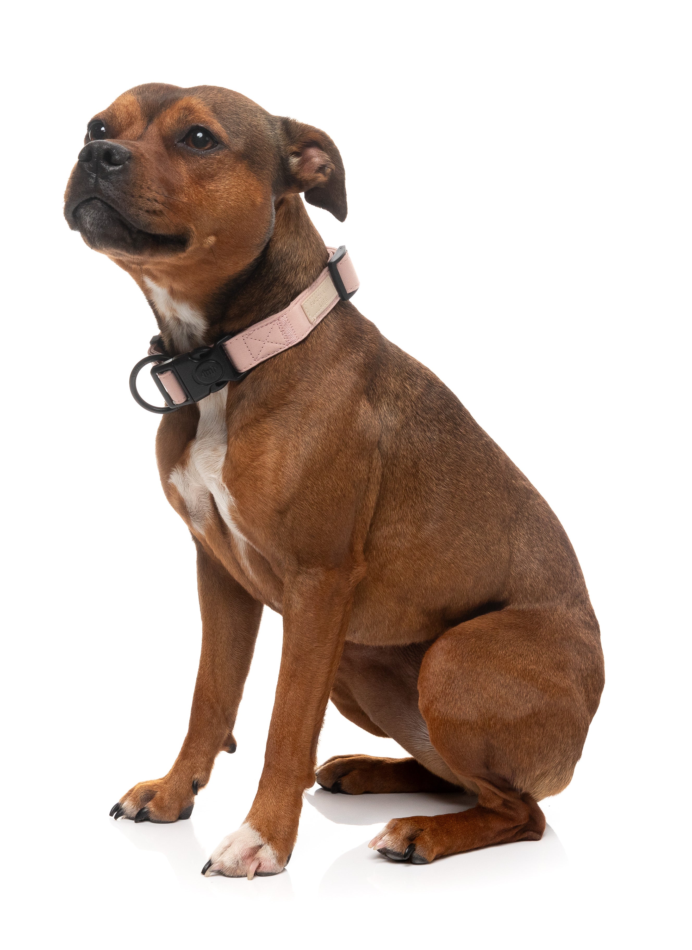 FuzzYard Life Dog Collar - Soft Blush - Extra Small