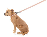 FuzzYard Life Dog Lead - Soft Blush