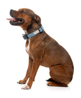 FuzzYard Life Dog Collar - French Blue