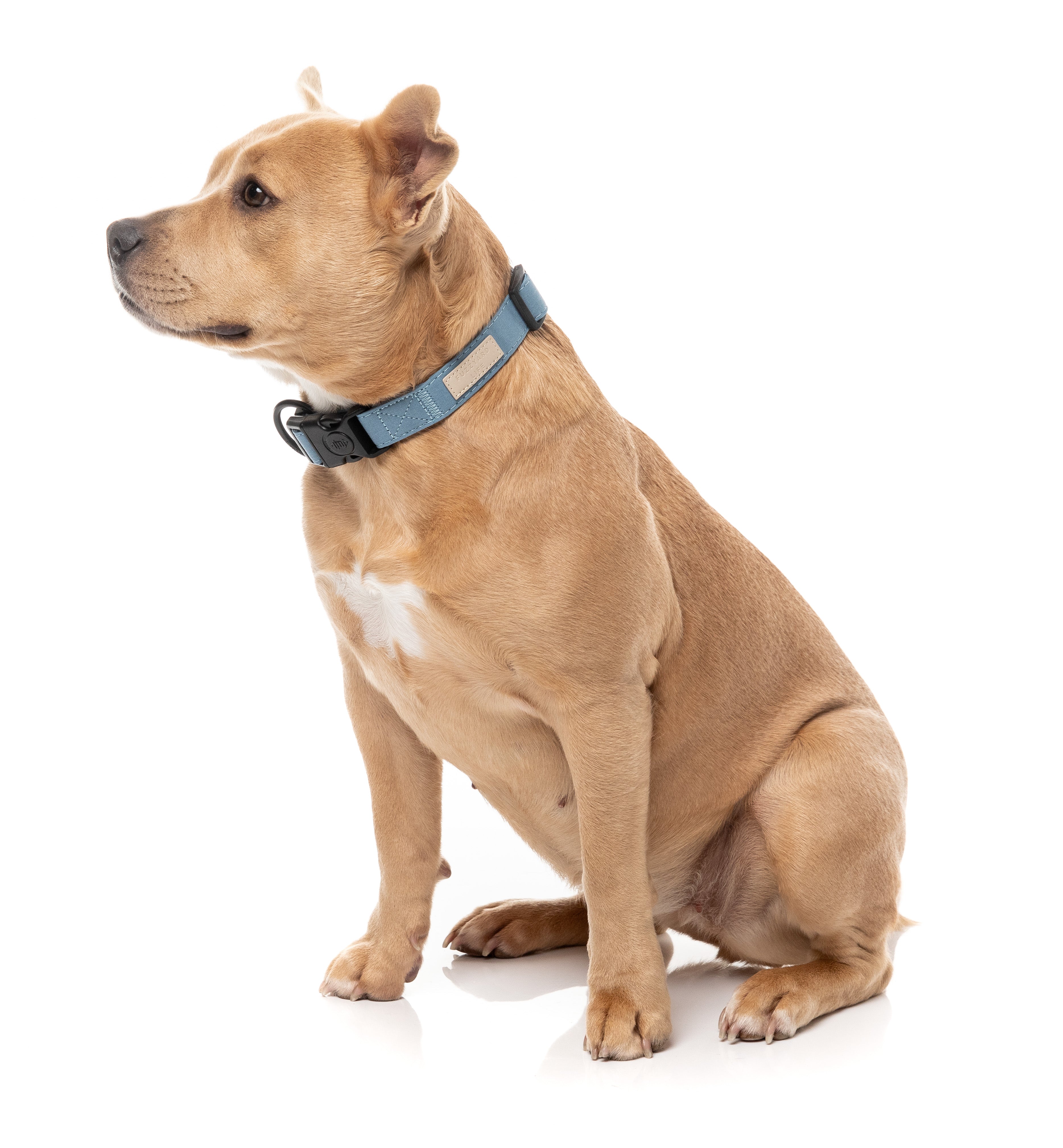 FuzzYard Life Dog Collar - French Blue - Extra Small