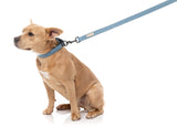 FuzzYard Life Dog Lead - French Blue - Extra Small