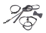 FuzzYard Life Cat Walking Set - Slate Grey