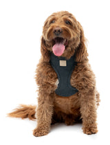 FuzzYard Life Corduroy Harness - Slate Grey