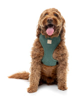 FuzzYard Life Corduroy Step In Harness - Myrtle Green