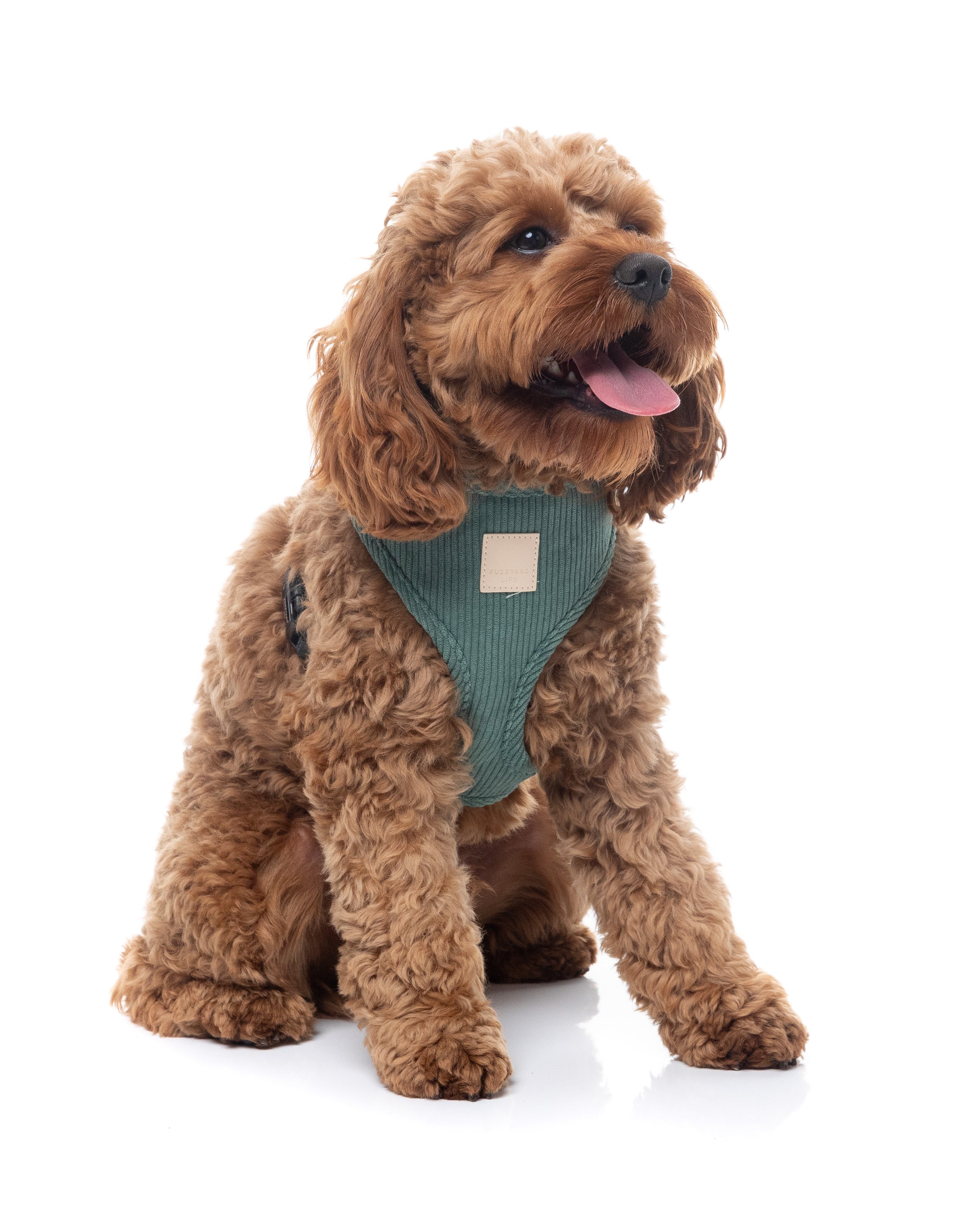 FuzzYard Life Corduroy Harness - Myrtle Green