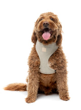 FuzzYard Life Corduroy Harness - Sandstone