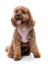 FuzzYard Life Corduroy Step In Harness - Soft Blush