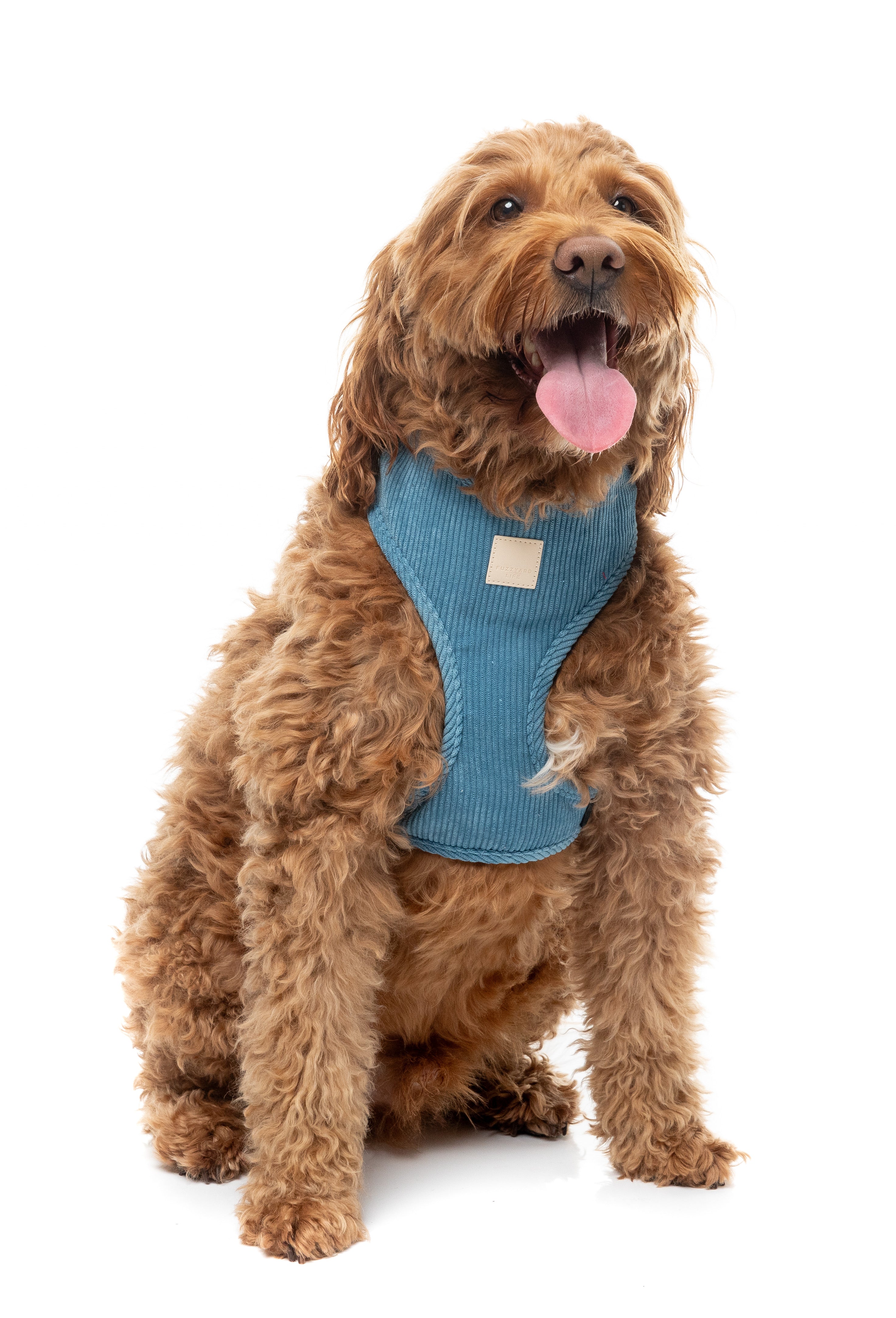 FuzzYard Life Corduroy Harness - French Blue