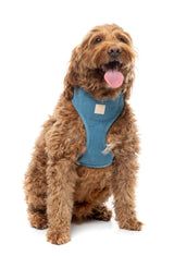FuzzYard Life Corduroy Harness - French Blue