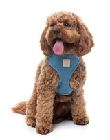 FuzzYard Life Corduroy Step In Harness - French Blue