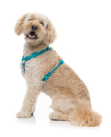 Sugar Rush H Harness - Sugar Cloud