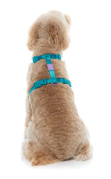 Sugar Rush H Harness - Sugar Cloud