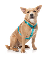 Sugar Rush H Harness - Sugar Cloud