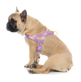 Sugar Rush Comfort Harness - Sherbet Pop