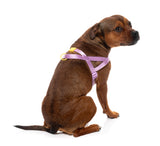 Sugar Rush Comfort Harness - Sherbet Pop