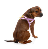 Sugar Rush Comfort Harness - Sherbet Pop