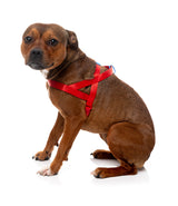 Sugar Rush Comfort  Harness - Cherry Charge