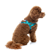 Sugar Rush Comfort Harness - Sugar Cloud