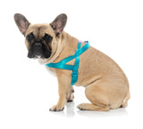 Sugar Rush Comfort Harness - Sugar Cloud