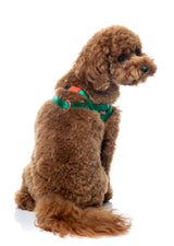 Sugar Rush Comfort Harness - Sour Patch