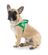 Sugar Rush Comfort Harness - Sour Patch