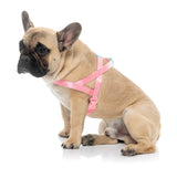 Sugar Rush Comfort Harness - Bubblegum Bliss